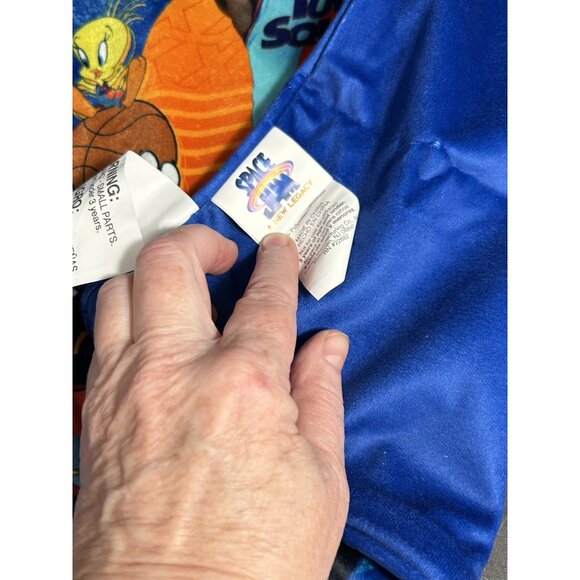 New Space Jam A New Legacy 15" Square Throw Pillow Cover LeBron James Tune Squad - Picture 6 of 7